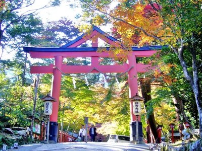 ⛩️ 히요시 대사(日吉大社)